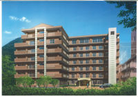 �����̕��i